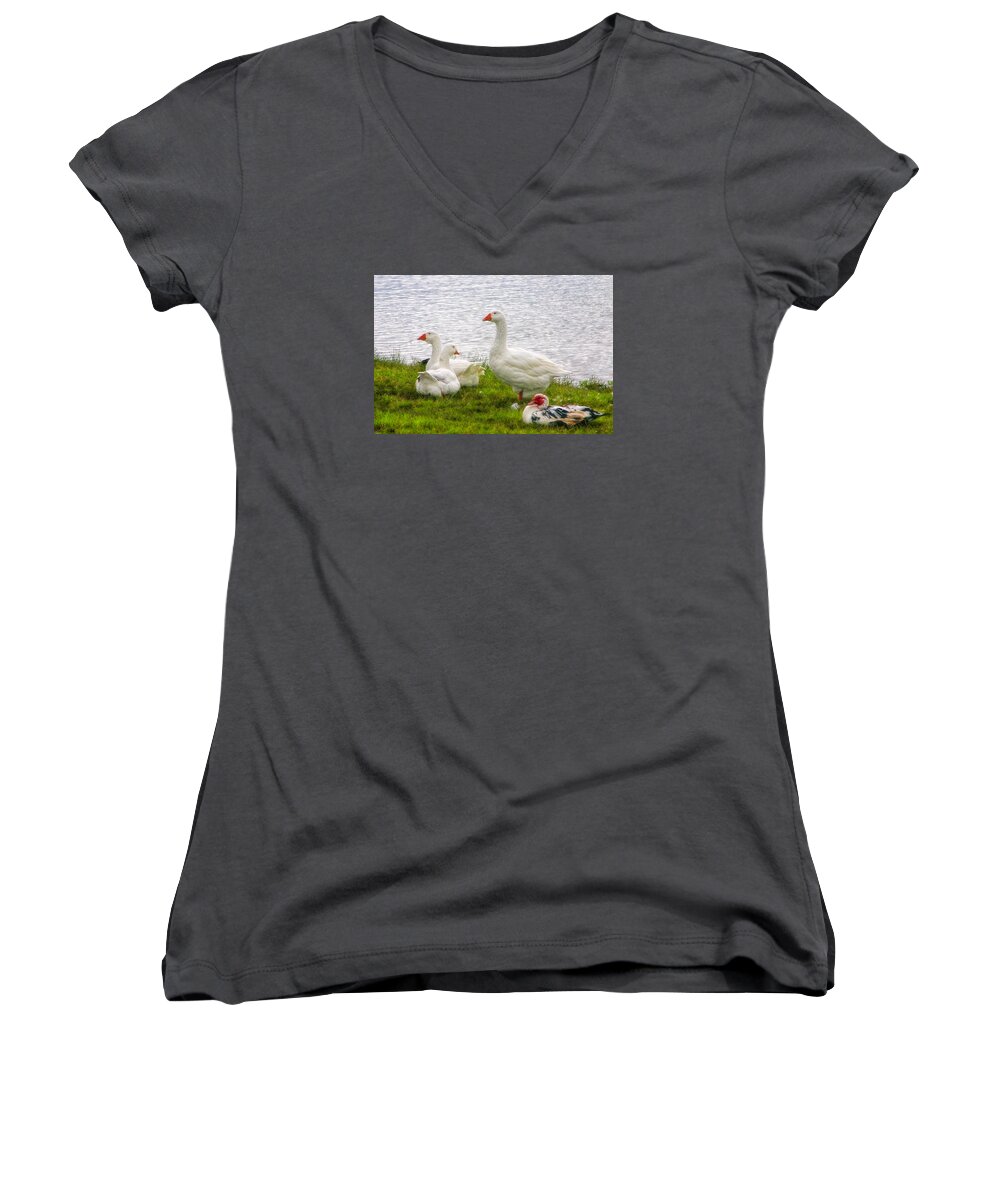 Ducks Women's V-Neck featuring the photograph A Quiet Moment by Joan Bertucci