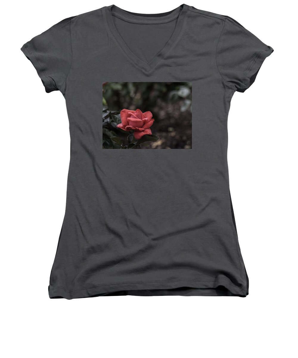 Rose Women's V-Neck featuring the photograph A Red Beauty by Ed Clark