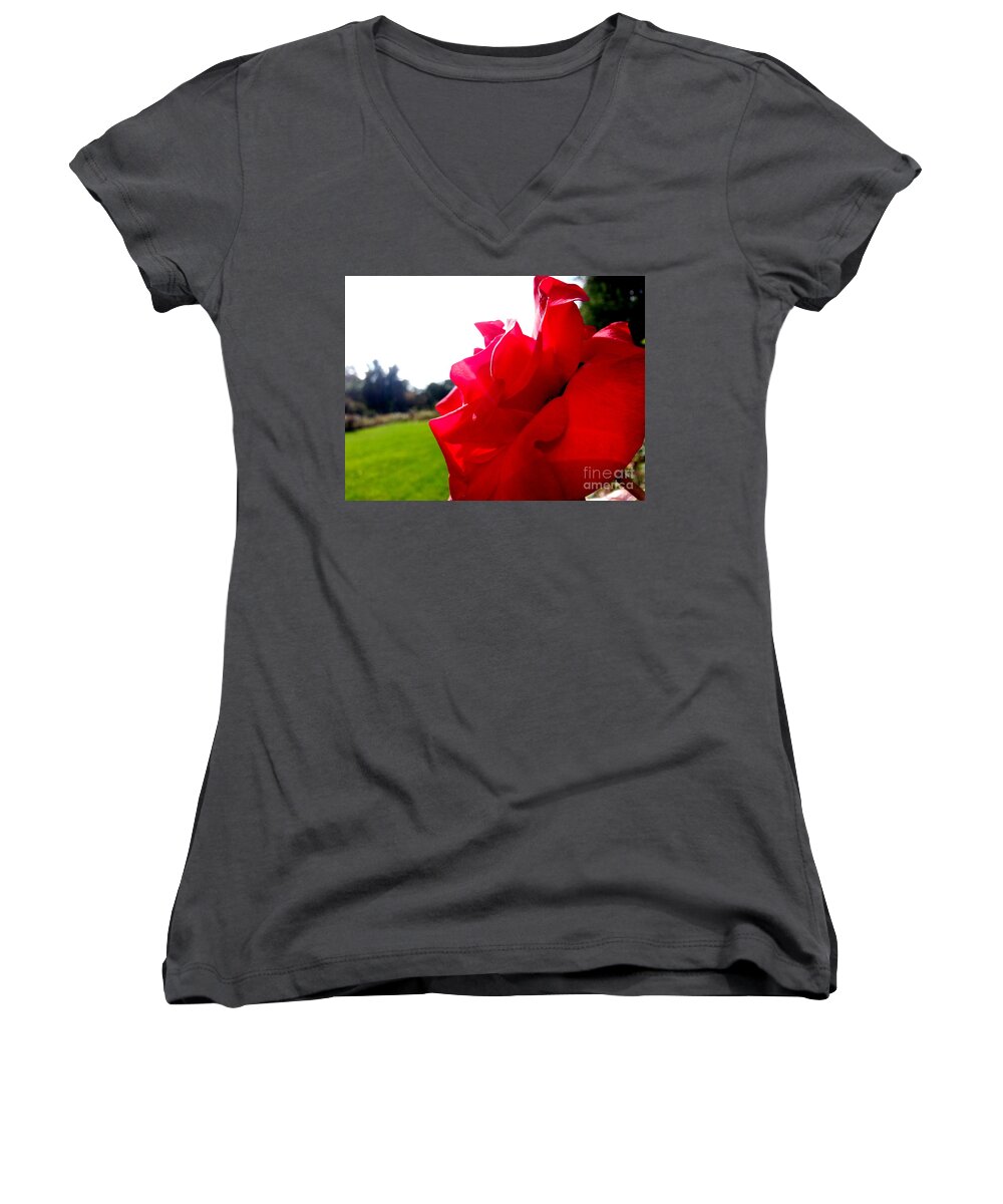 Rose Women's V-Neck featuring the photograph A Rose in the Sun by Robert Knight
