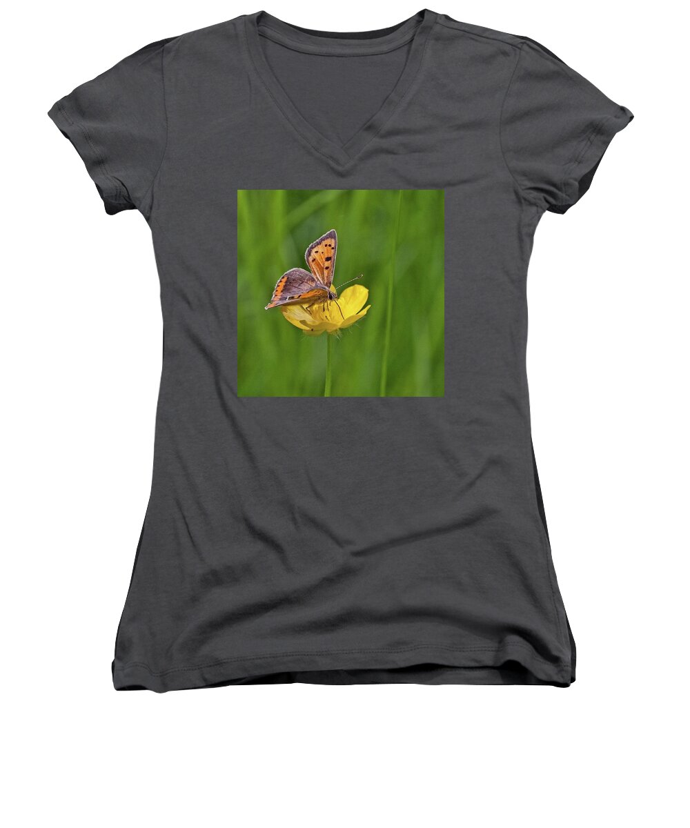 Insect Women's V-Neck featuring the photograph A Small Copper Butterfly (lycaena by John Edwards
