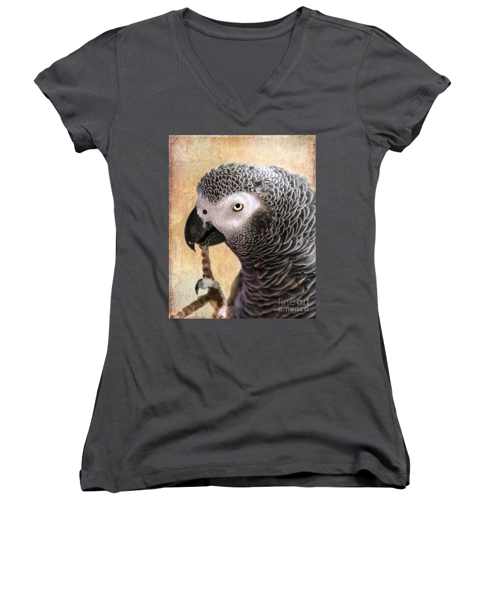 African Gray Parrot Women's V-Neck featuring the photograph A Touch of Grey 11 by Betty LaRue