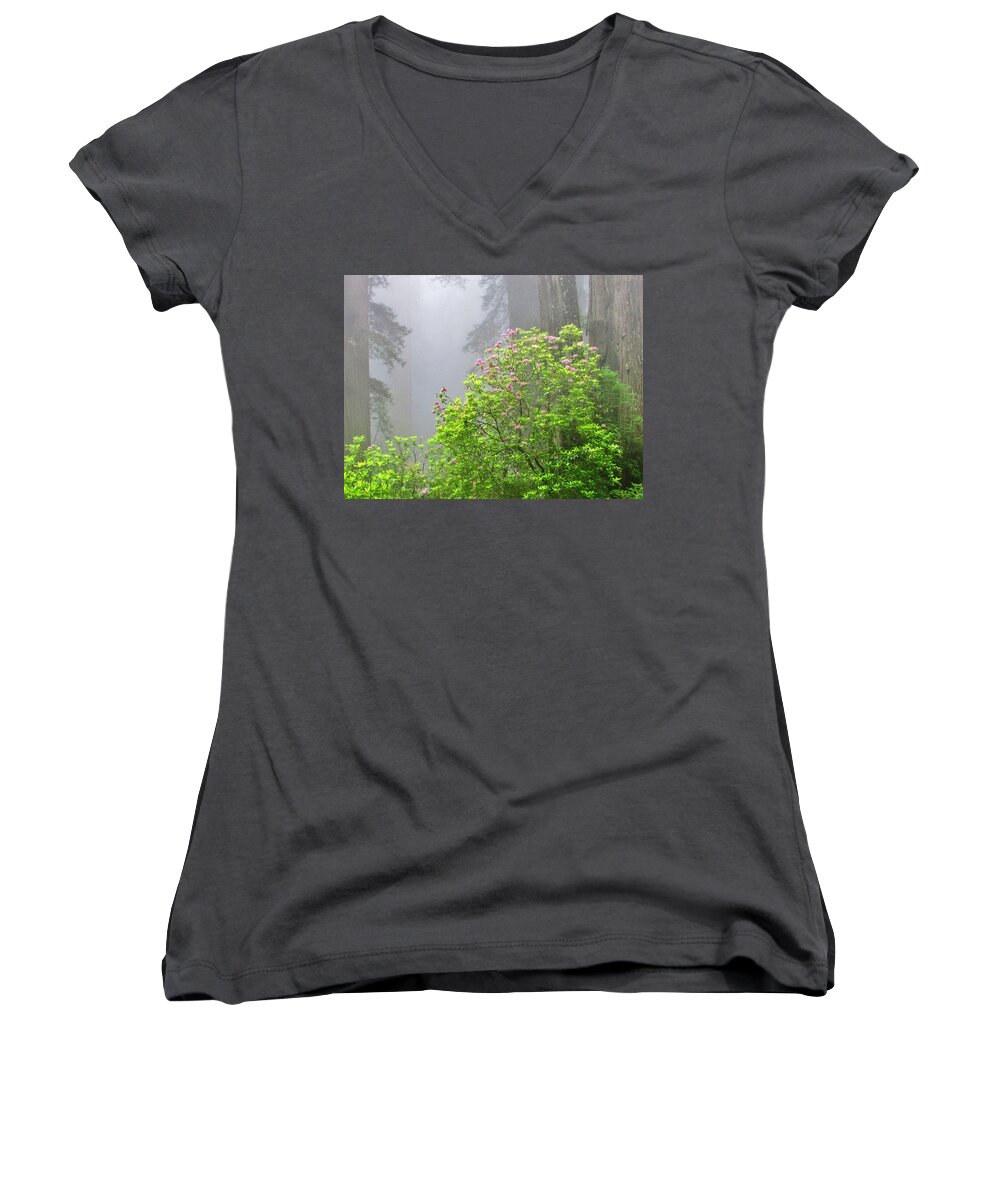 Mist Women's V-Neck featuring the photograph A Walk Alone by Marilyn Diaz