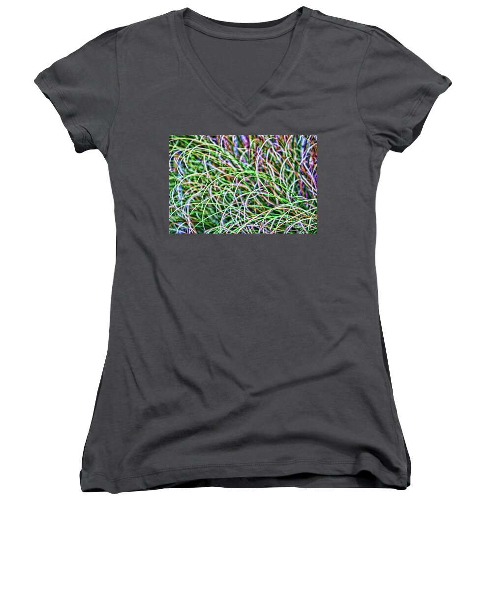 Pompous Grass Women's V-Neck featuring the photograph Abstract Grass by Roberta Byram