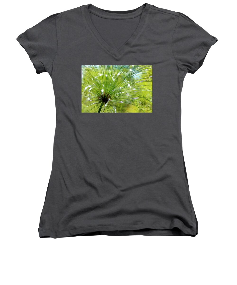 Aquatic Women's V-Neck featuring the photograph Abstrct Grass by Nicholas Burningham