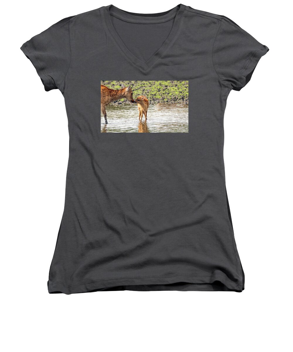 Affection Women's V-Neck featuring the photograph Affection by Sam Rino