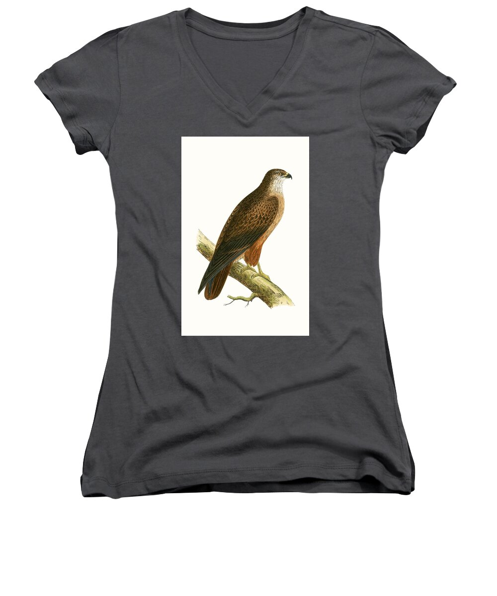Buzzard Women's V-Neck featuring the painting African Buzzard by English School