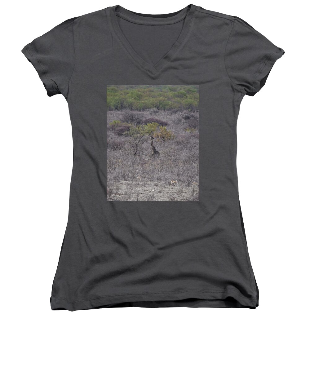 Giraffe Women's V-Neck featuring the photograph Afternoon Treat by Ernest Echols
