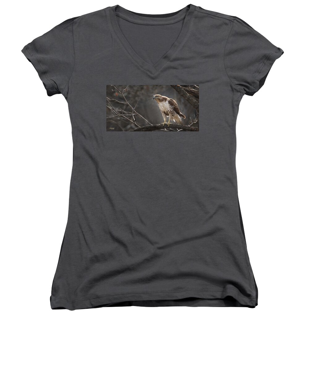 Red Tail Hawk Women's V-Neck featuring the photograph Alert and ready by Don Anderson