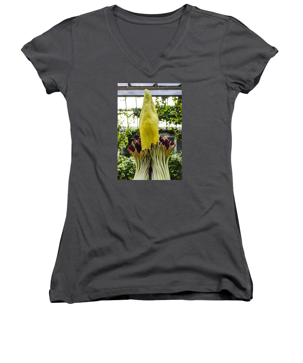 Alice Women's V-Neck featuring the photograph Alice Through the Looking Glass 2 by Deborah Smolinske