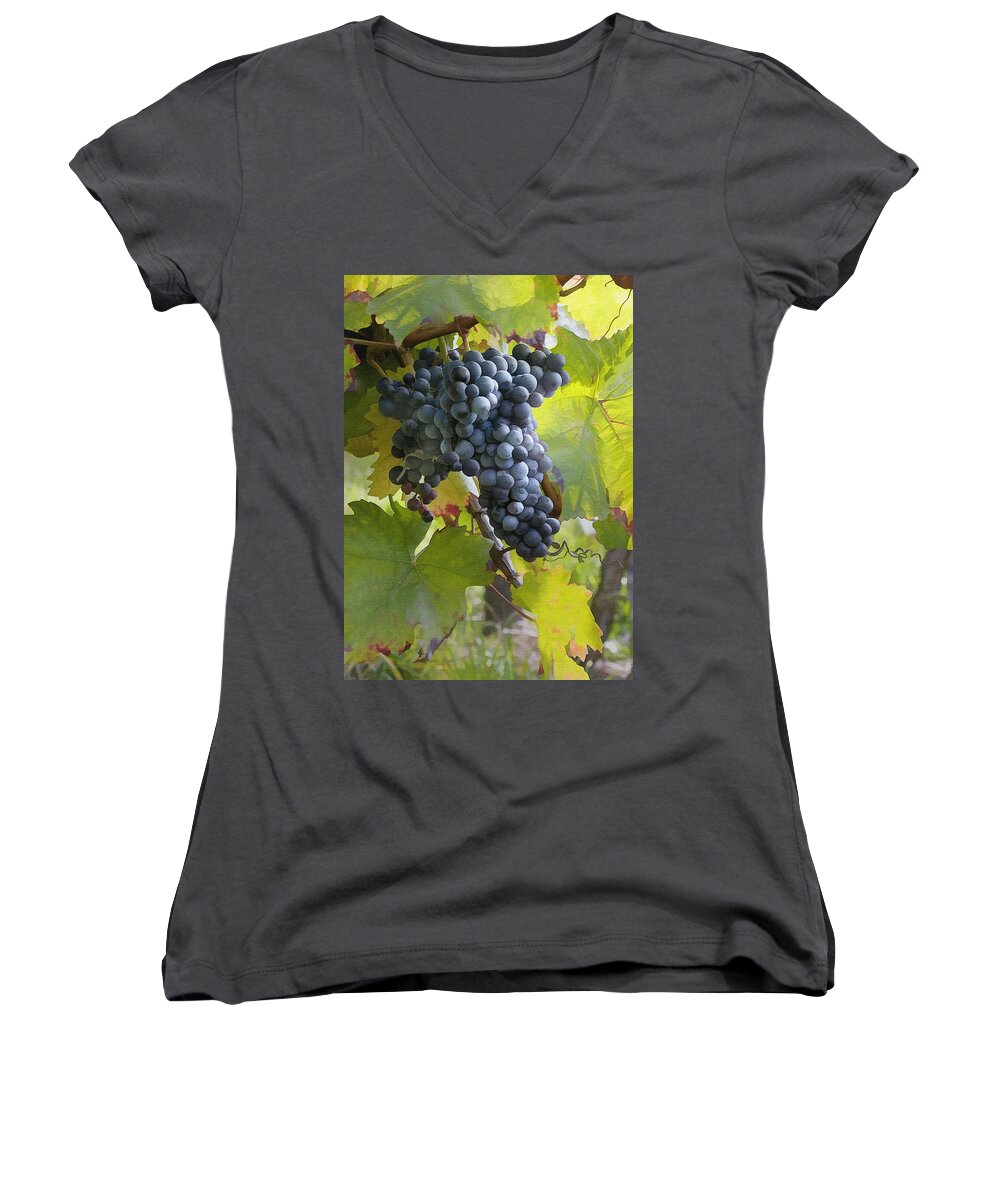 Grape Women's V-Neck featuring the photograph All Aglow by Sharon Foster