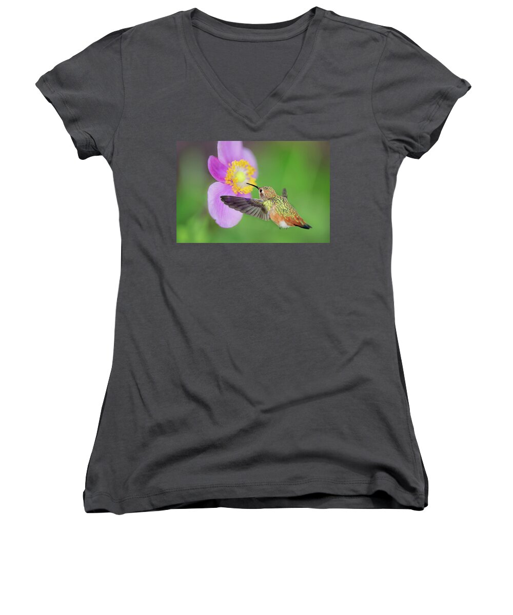 Hummingbird Women's V-Neck featuring the photograph Allens Hummingbird and Anemone by Susan Gary
