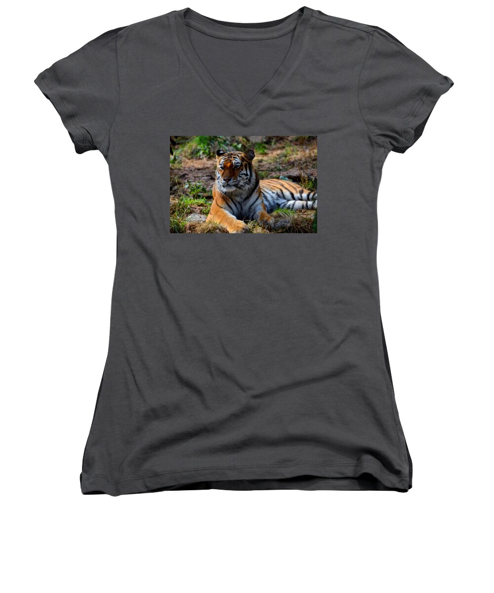 Amur Women's V-Neck featuring the mixed media Amur Tiger 8 by Angelina Tamez