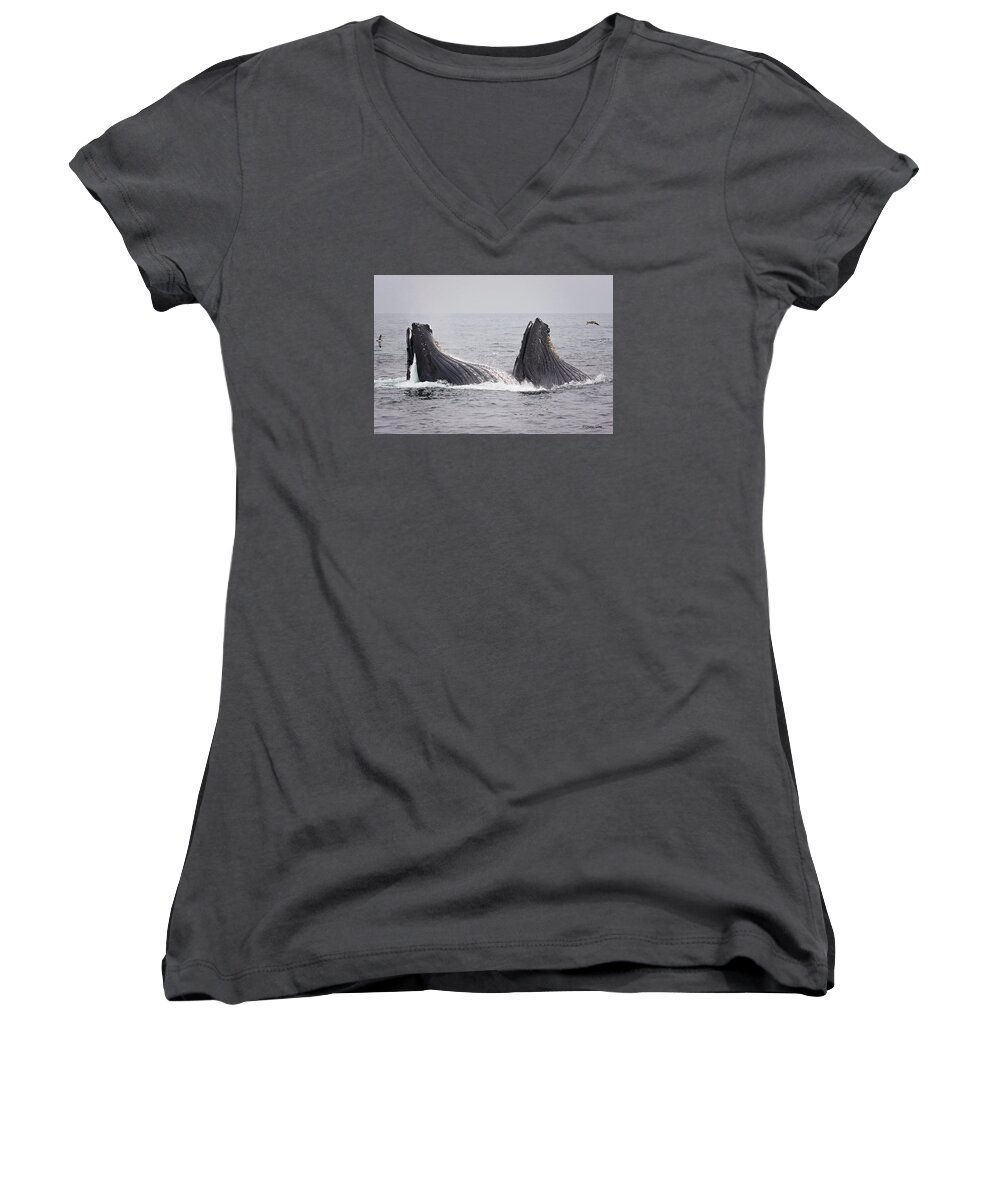 Humpback Women's V-Neck featuring the photograph Anchovies for Two by Deana Glenz