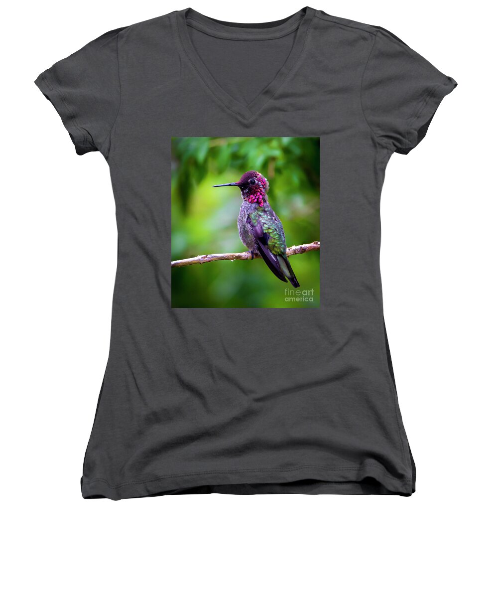 Birds Women's V-Neck featuring the photograph Anna Humming Bird by Sal Ahmed