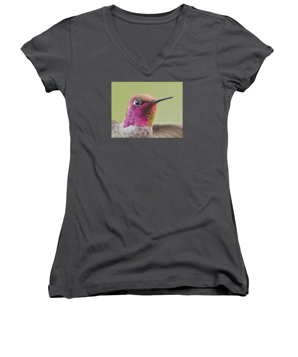 Bird Women's V-Neck featuring the photograph Think Pink by William Bitman