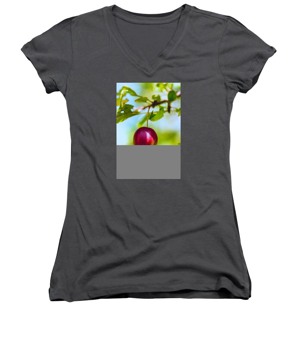 Red Women's V-Neck featuring the photograph Crab Apple by Constantine Gregory