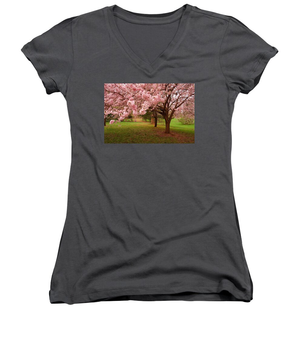 Cherry Blossoms Women's V-Neck featuring the photograph Approach Me - Holmdel Park by Angie Tirado
