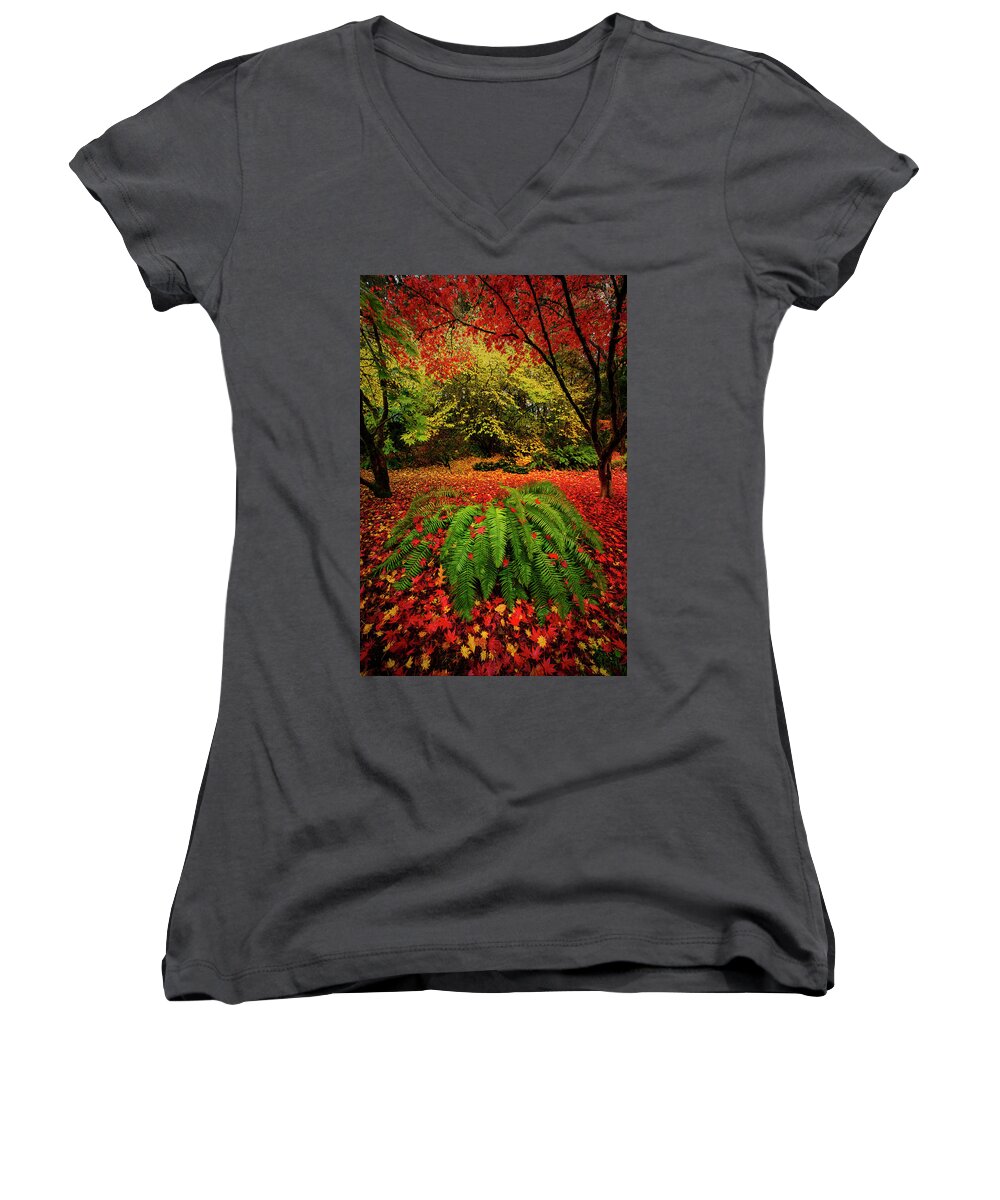 Seattle Women's V-Neck featuring the photograph Arboretum Primary Colors by Dan Mihai