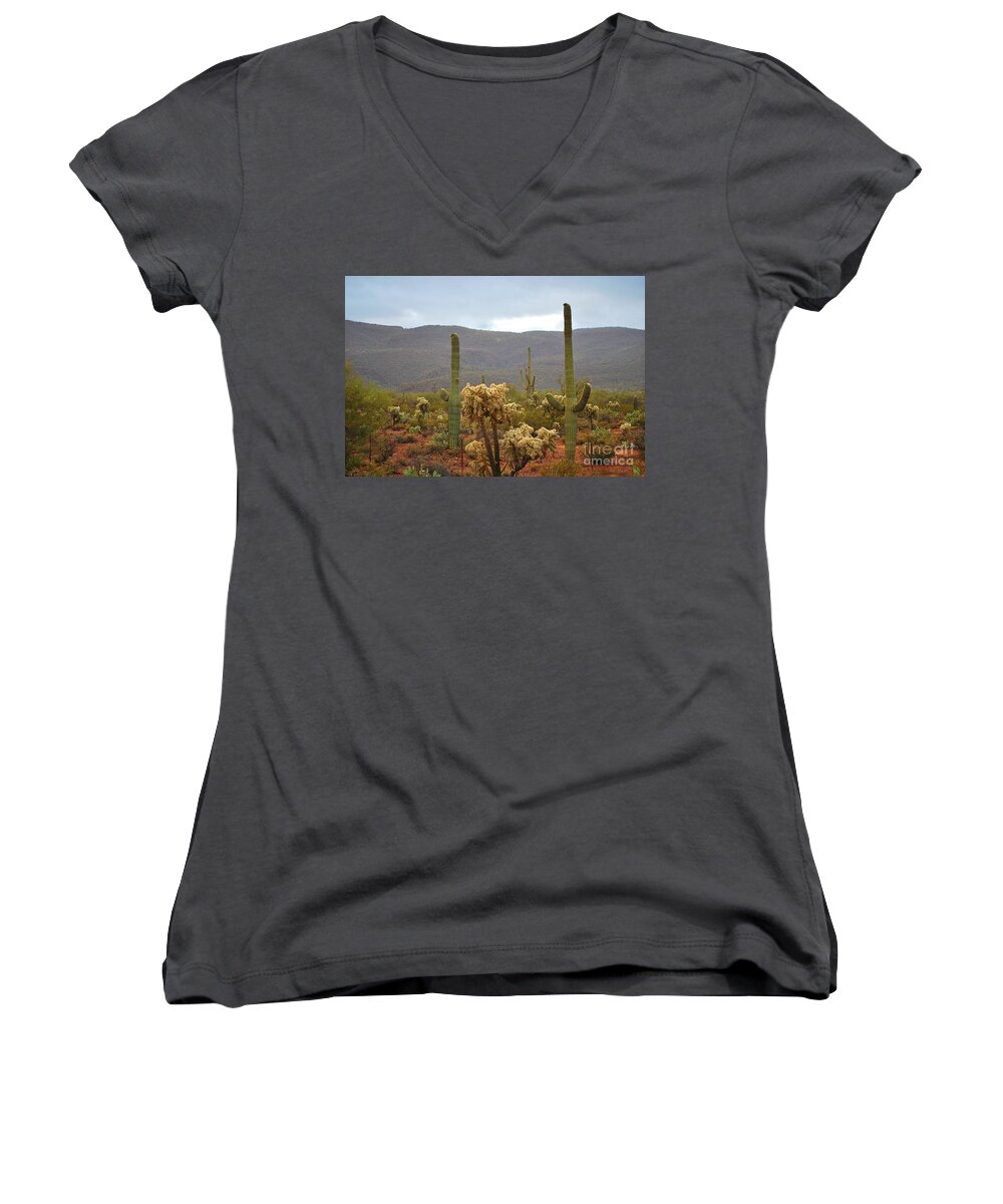 Fine Art Women's V-Neck featuring the photograph Arizona's Sonoran Desert by Donna Greene