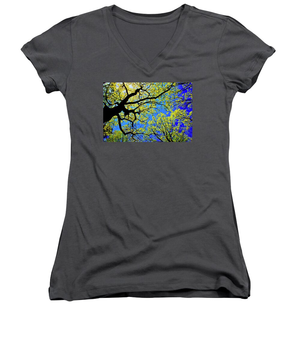 Tree Canopy Women's V-Neck featuring the photograph Artsy Tree Canopy Series, Early Spring - # 01 by The James Roney Collection