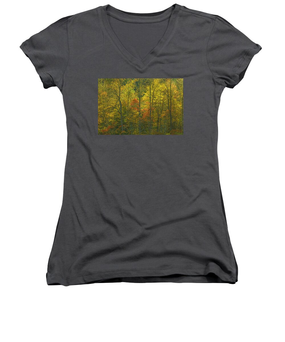  Women's V-Neck featuring the photograph At the edge of the forest by Ulrich Burkhalter