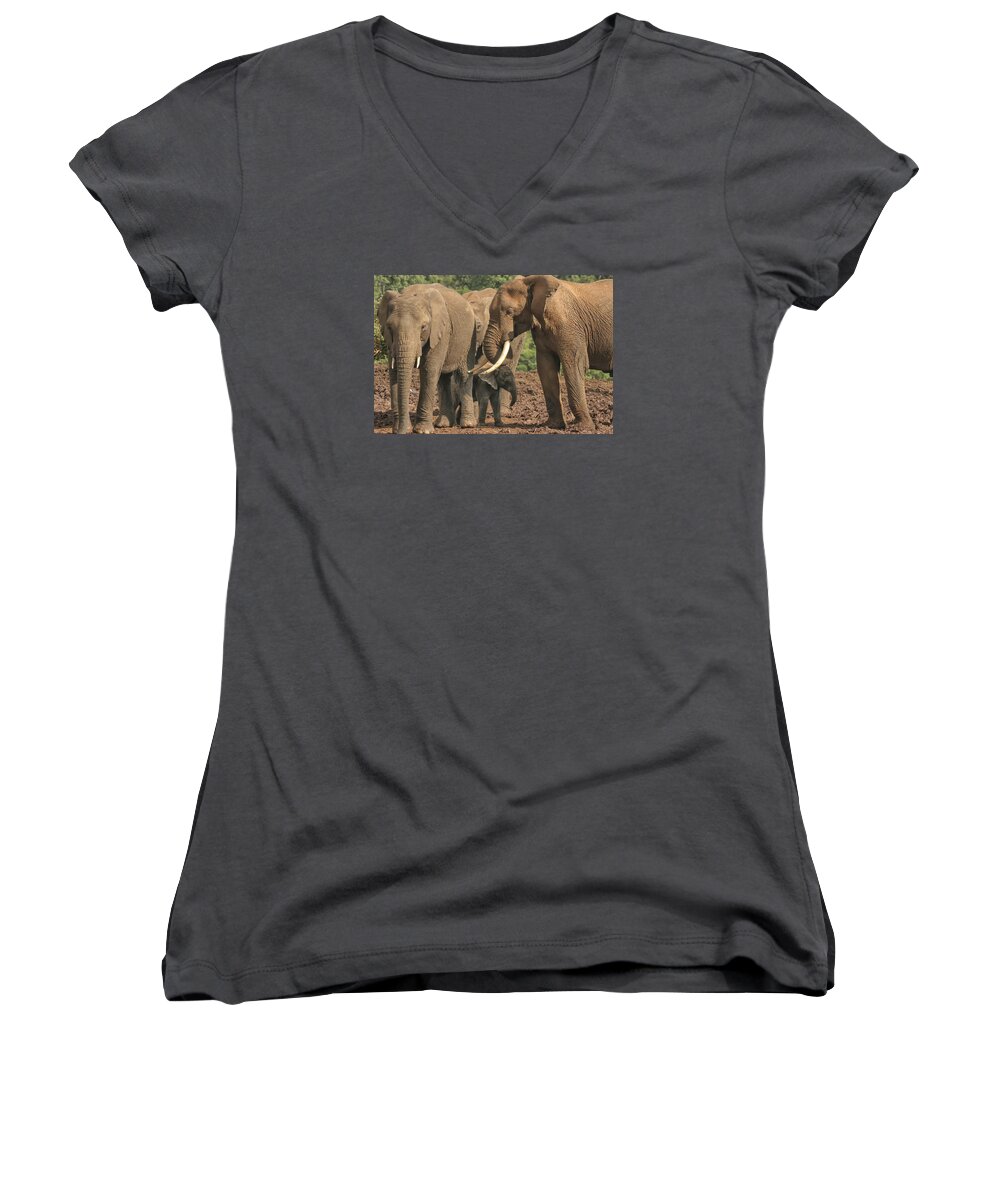 Gary Hall Women's V-Neck featuring the photograph At the Salt Lick by Gary Hall