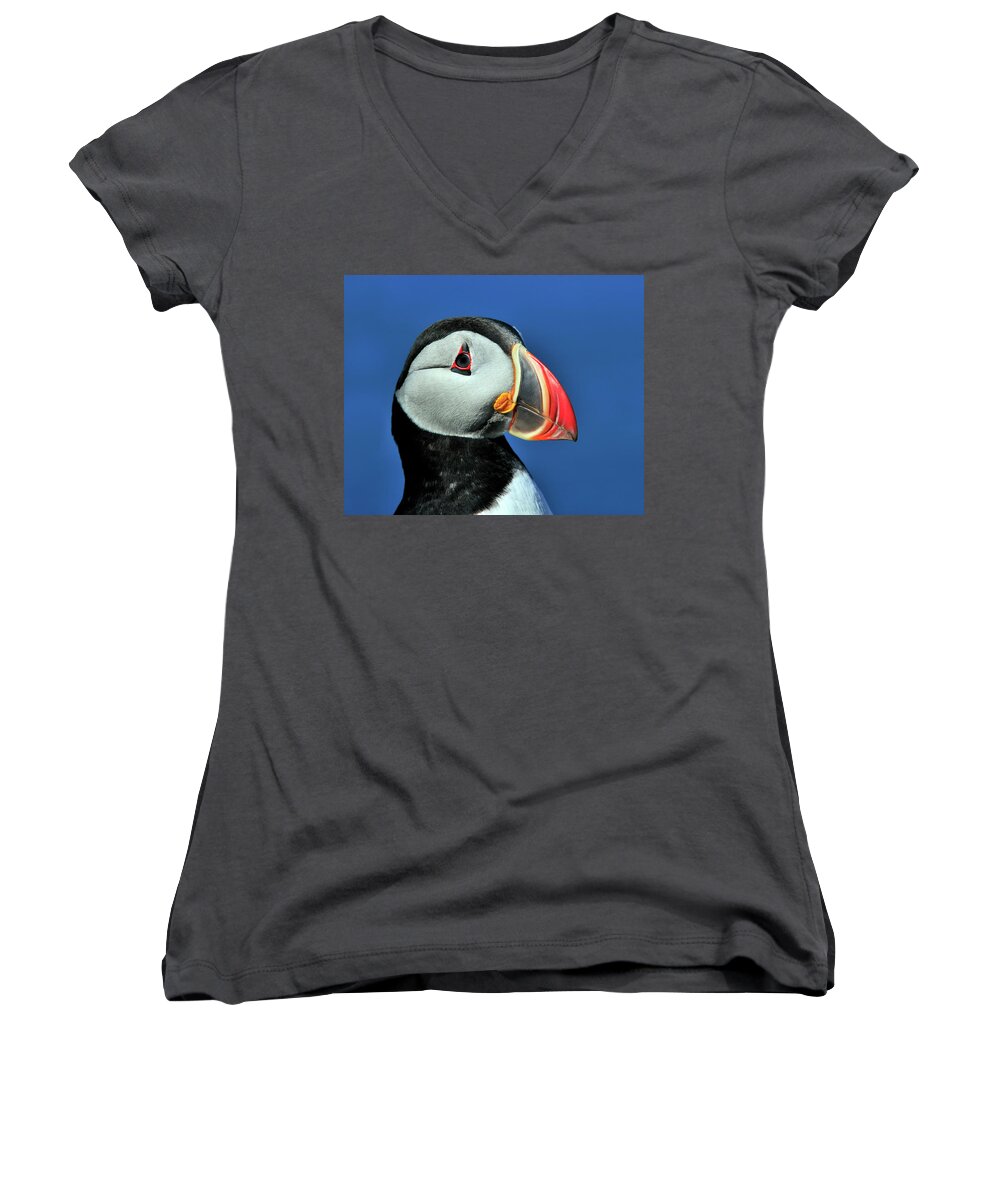Atlantic Puffin Women's V-Neck featuring the photograph Atlantic Puffin by Tony Beck