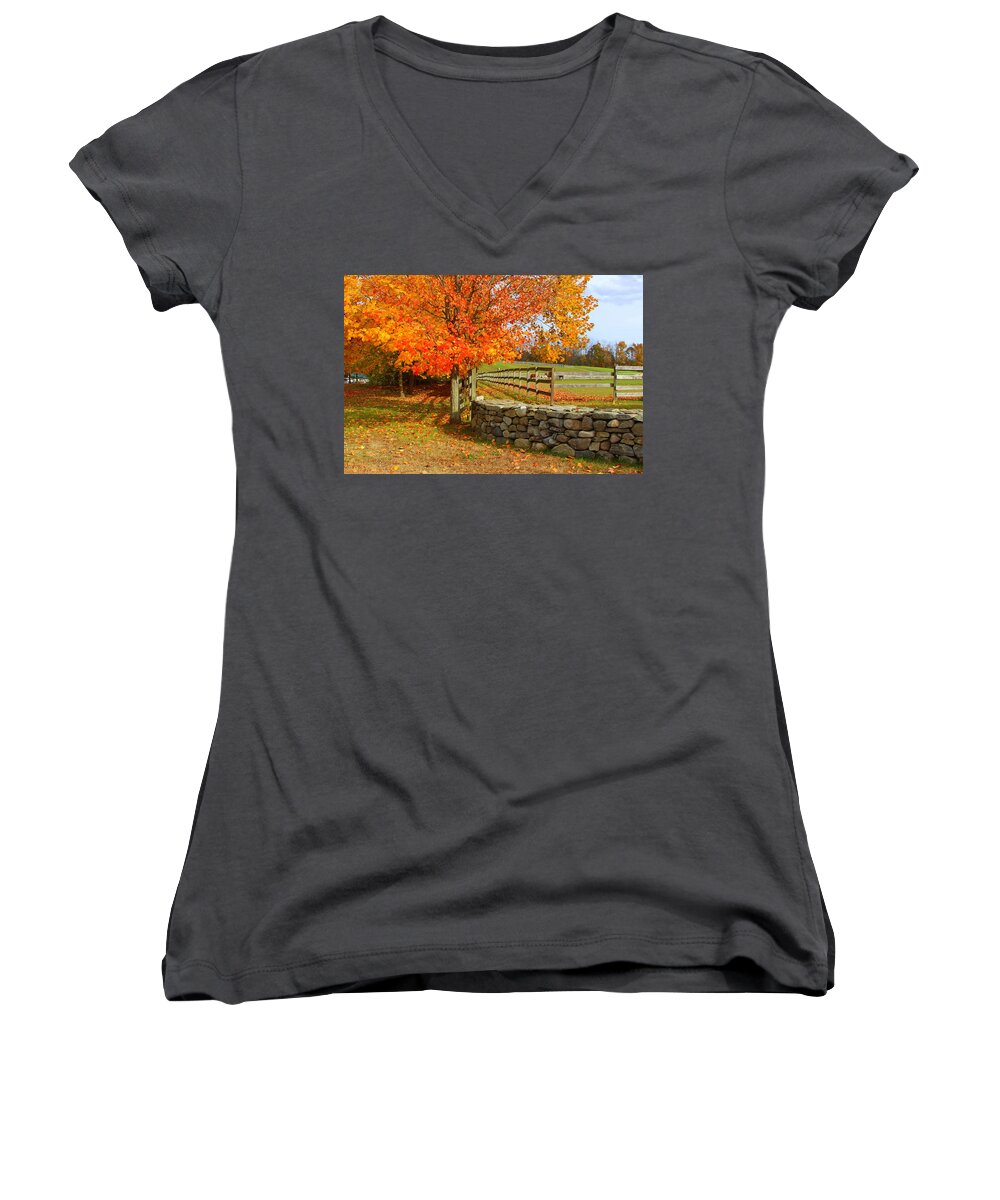 Autumn Women's V-Neck featuring the photograph Autumn Afternoon by Suzanne DeGeorge