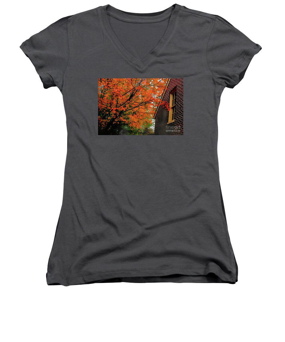 Tree Women's V-Neck featuring the photograph Autumn at the Window by Sandy Moulder