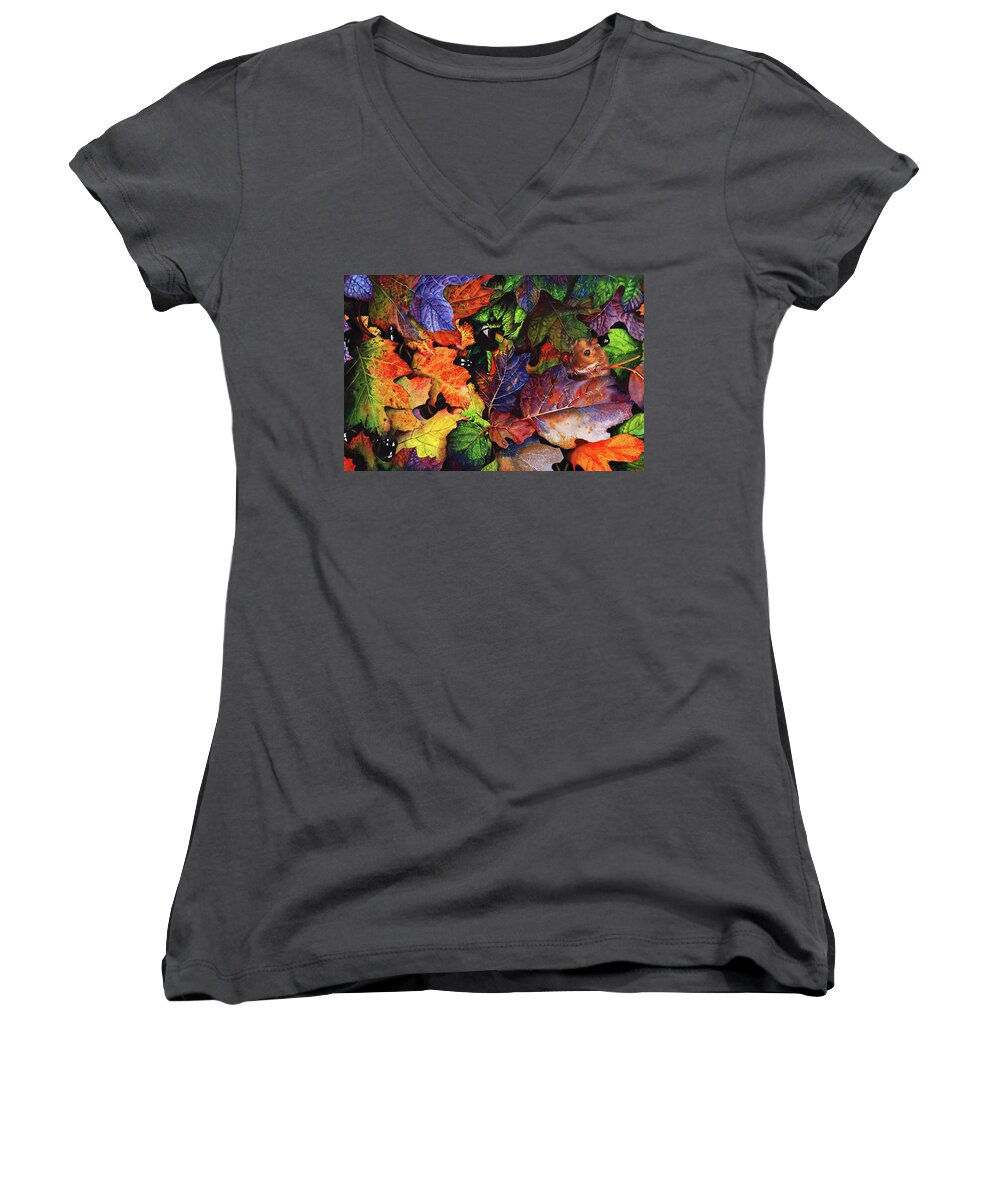 Autumn Women's V-Neck featuring the painting Autumn Blues by Peter Williams