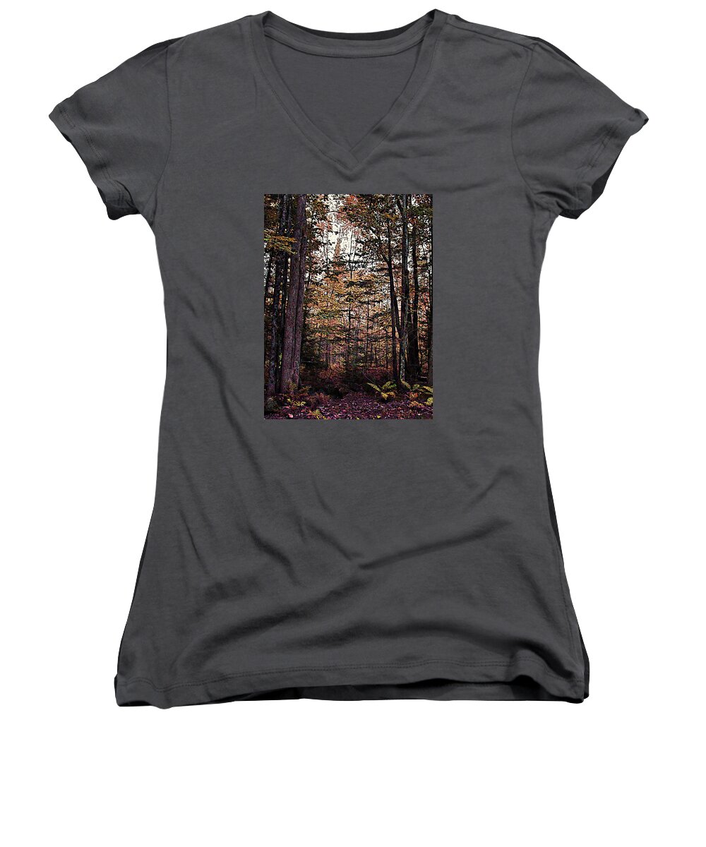 Autumn Color In The Woods Women's V-Neck featuring the photograph Autumn Color In The Woods by Joy Nichols