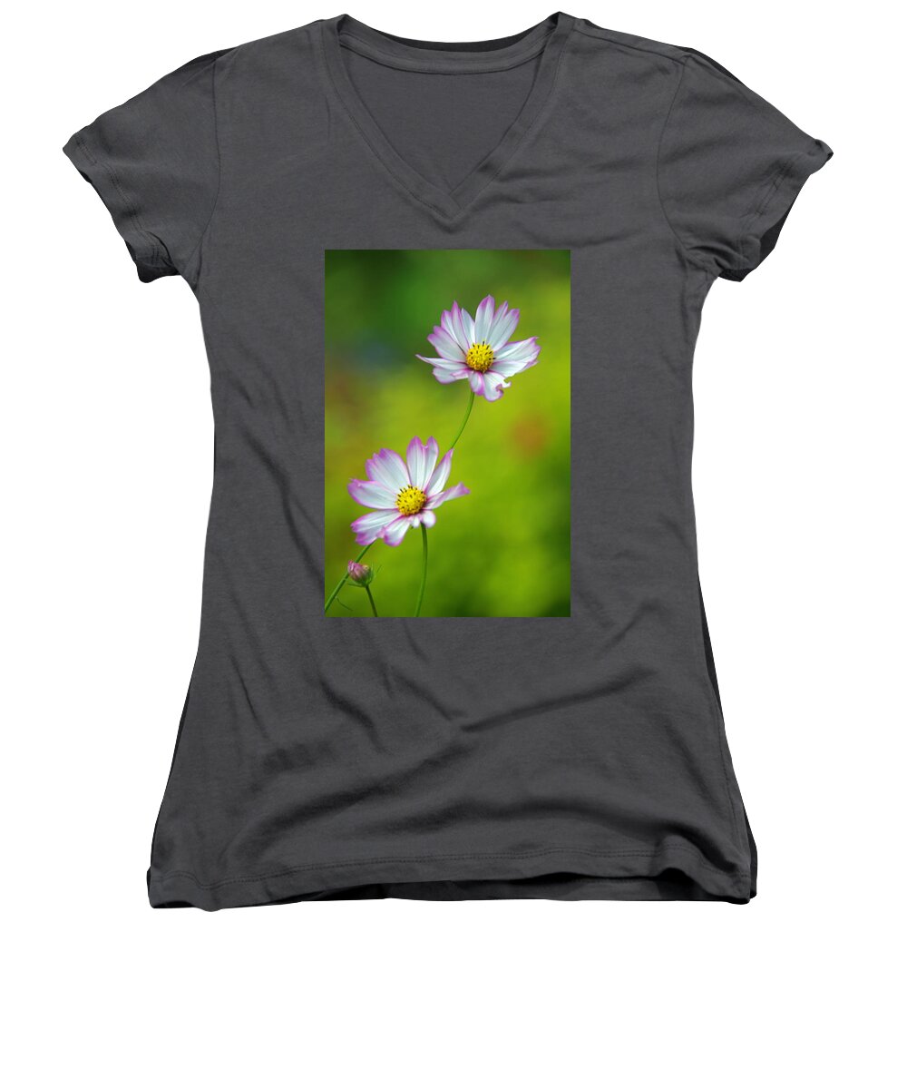 Flowers Women's V-Neck featuring the photograph Autumn Flowers by Byron Varvarigos