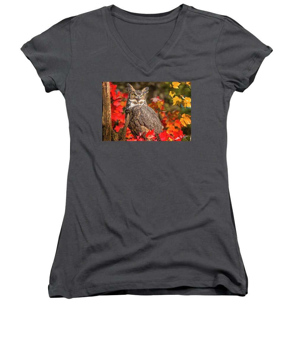 Owl Women's V-Neck featuring the photograph Autumn Owl by Peg Runyan