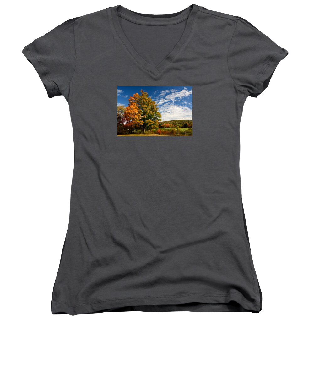 Autumn Women's V-Neck featuring the photograph Autumn Tree on the Windham Path by Nancy De Flon