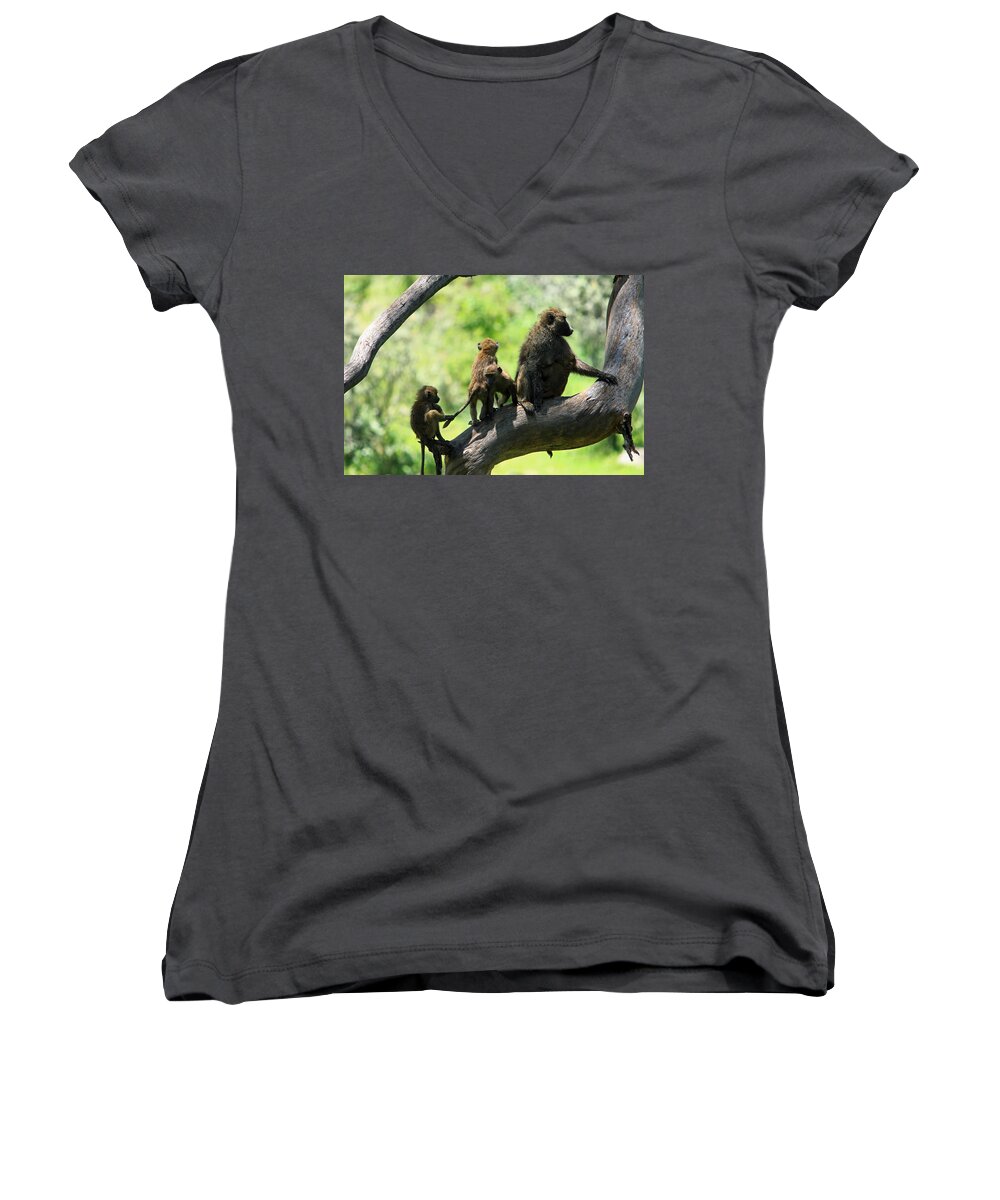 Baboon Women's V-Neck featuring the photograph Baboon Family by Aidan Moran