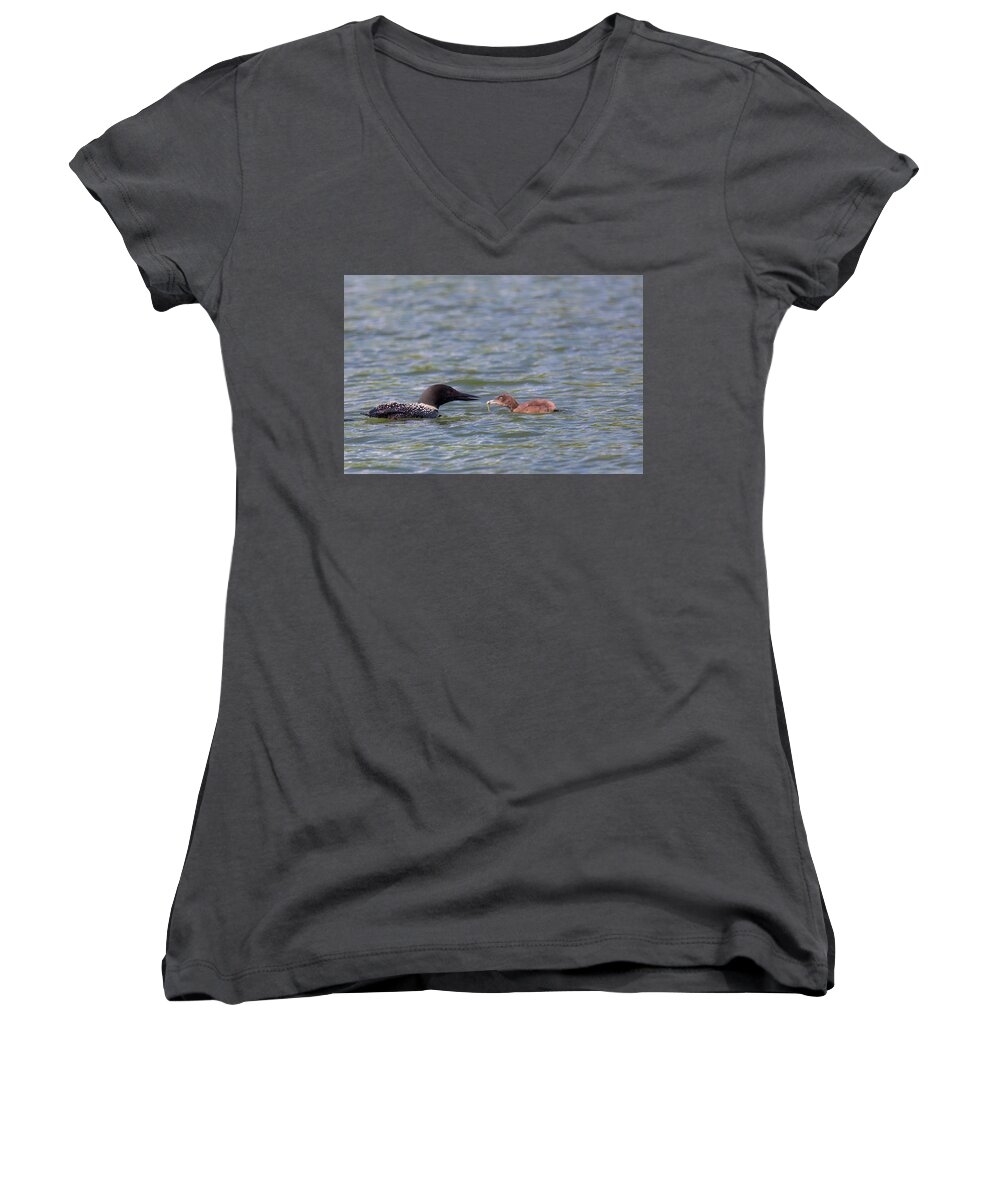 Baby Loon Women's V-Neck featuring the photograph Feeding Time by Nancy Dunivin