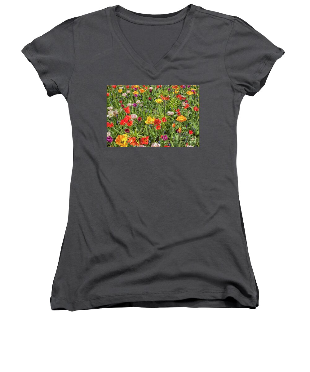 Floral Women's V-Neck featuring the photograph Background of colorful flowers by Patricia Hofmeester