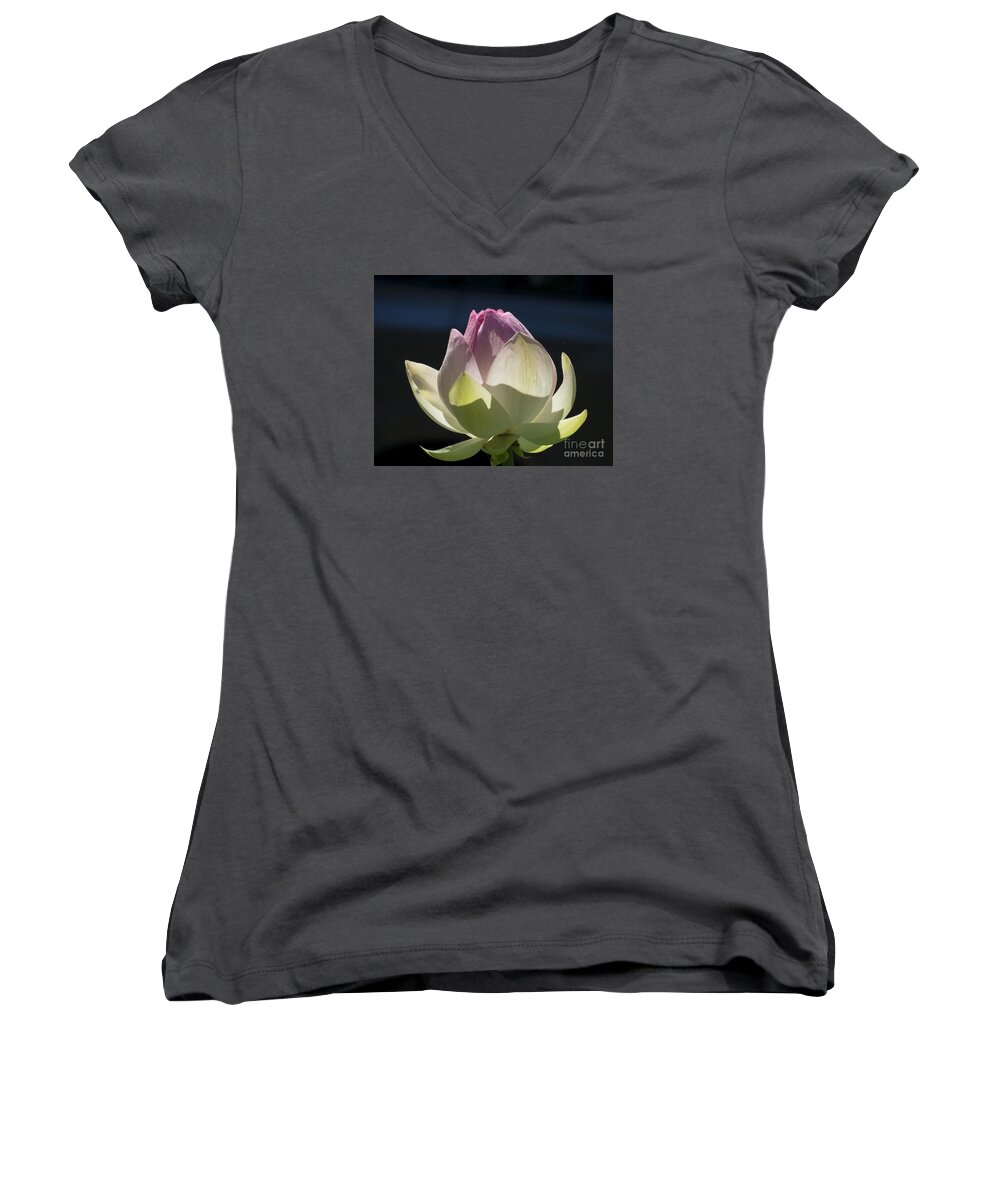 Flowers Women's V-Neck featuring the photograph Backlit Lotus Bud 2015 by Lili Feinstein