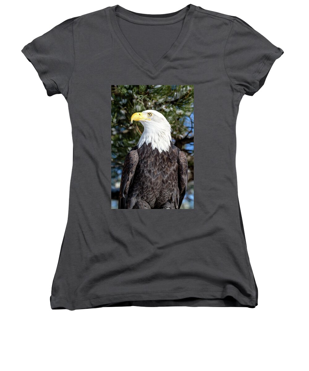 American Freedom Symbol Women's V-Neck featuring the photograph Bald Eagle In Tree by Teri Virbickis