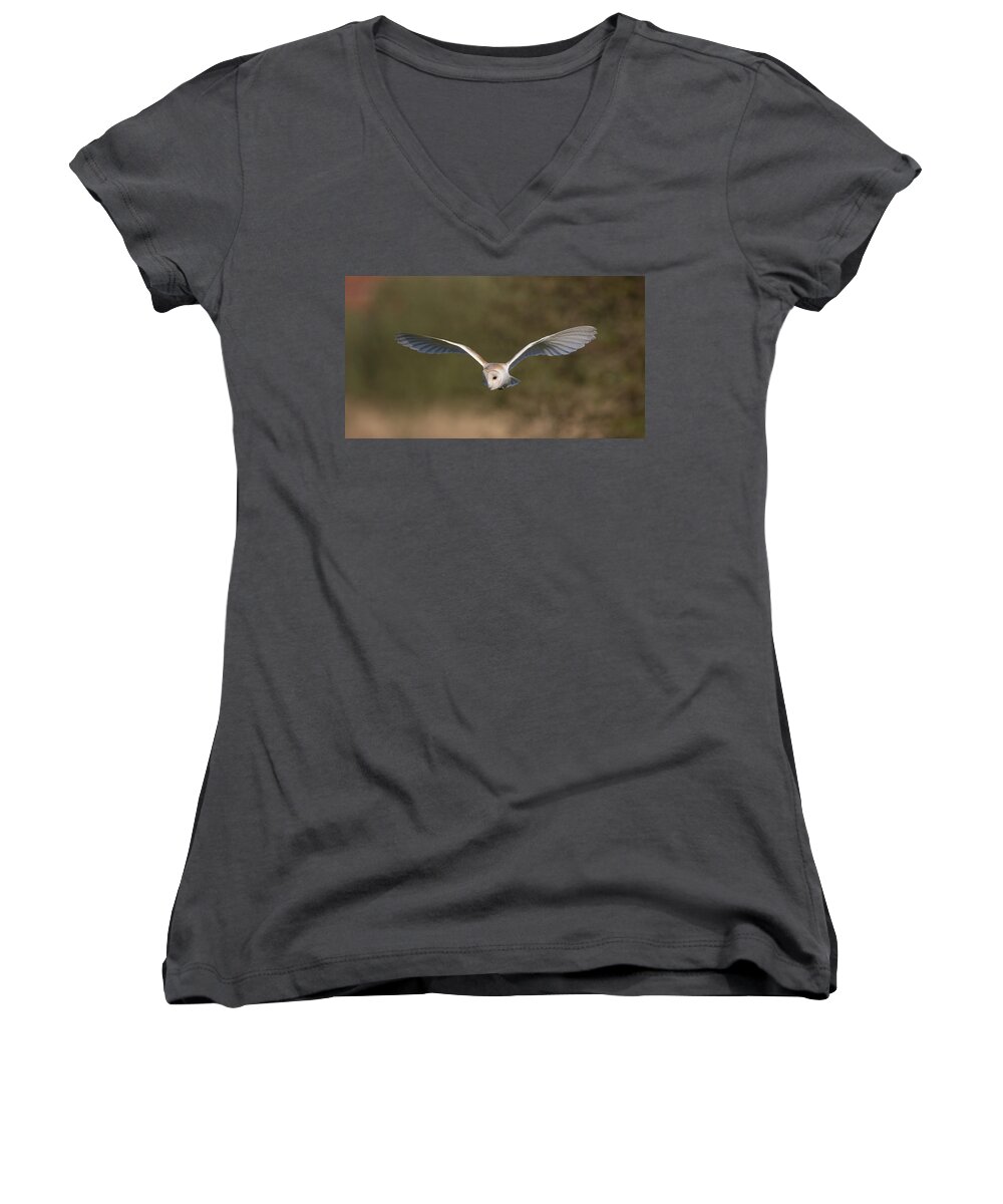 Barn Owl Women's V-Neck featuring the photograph Barn Owl Quartering by Pete Walkden