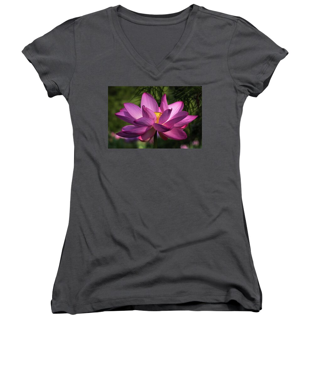 Photograph Women's V-Neck featuring the photograph Be Like the Lotus by Cindy Lark Hartman