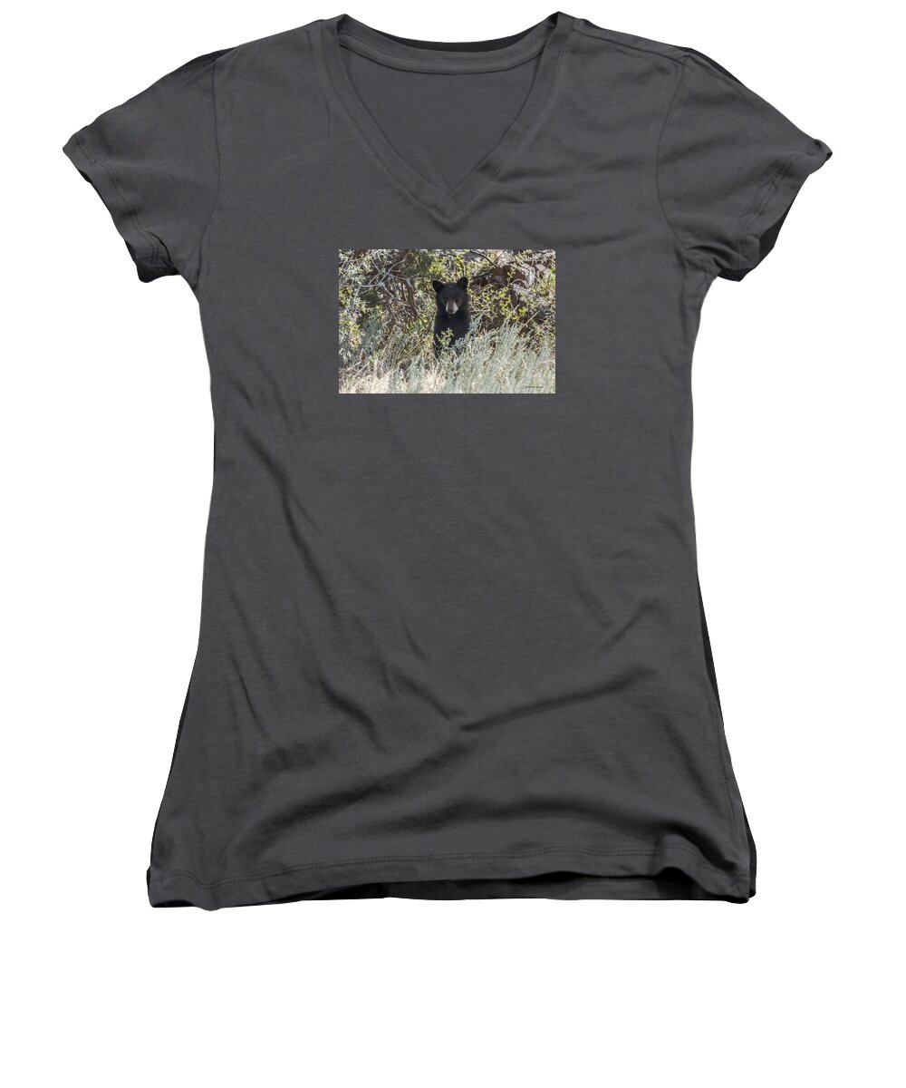 Black Bear Women's V-Neck featuring the photograph Bear Cub Looking For Mom by Stephen Johnson
