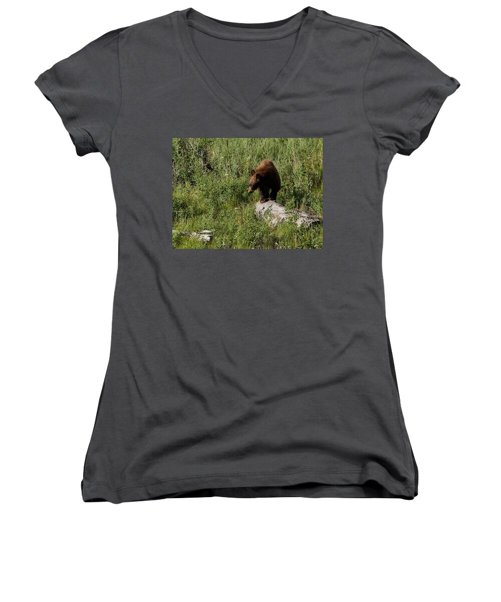 Bear Women's V-Neck featuring the photograph Bear1 by Loni Collins