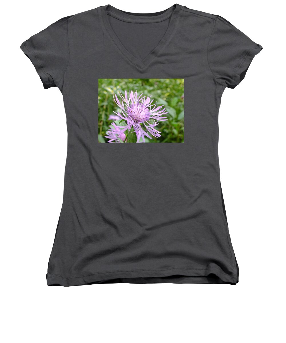 Nature Women's V-Neck featuring the photograph Bee Balm by Peggy King
