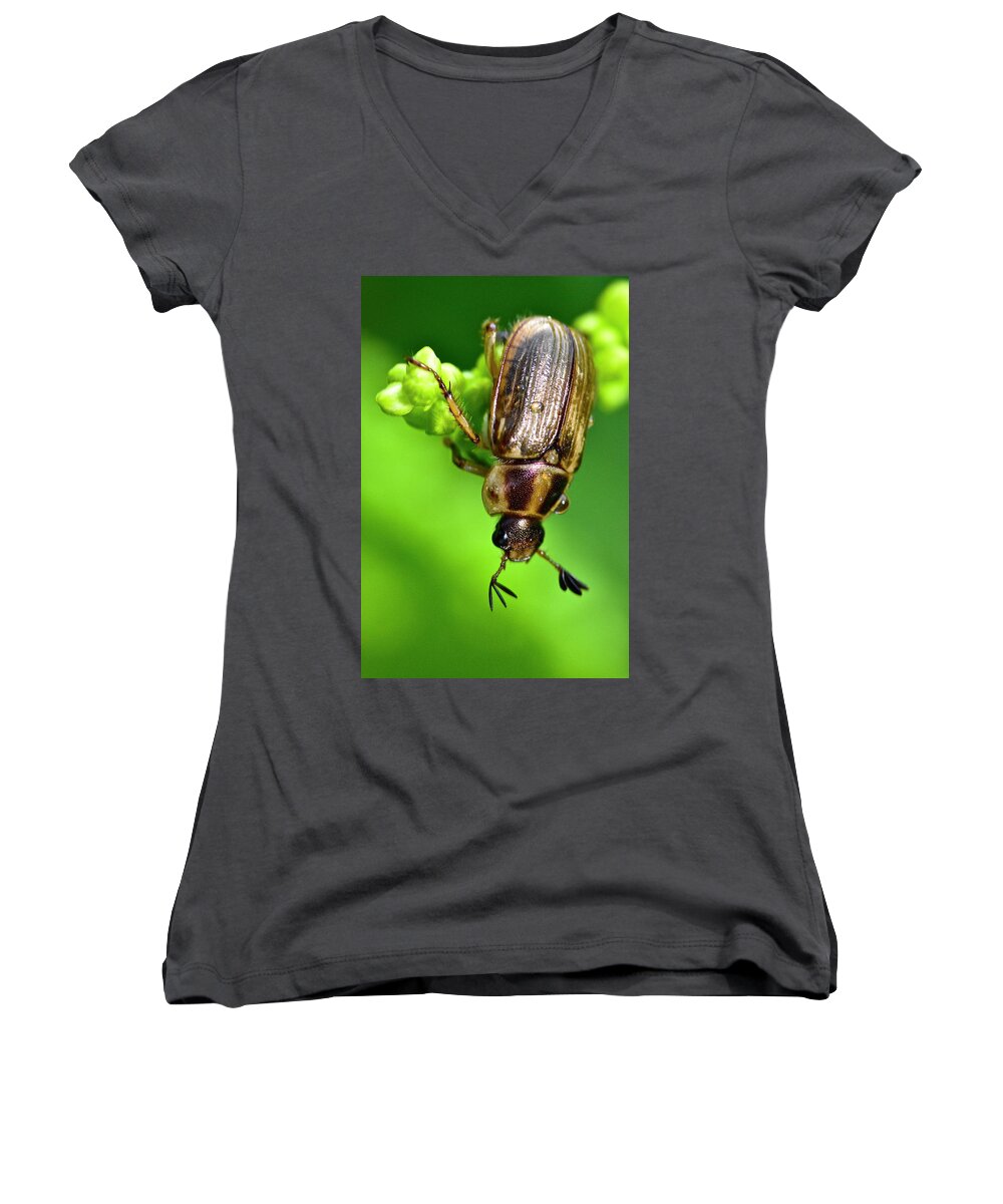 Wall Art Women's V-Neck featuring the photograph Beetle by Jeffrey PERKINS
