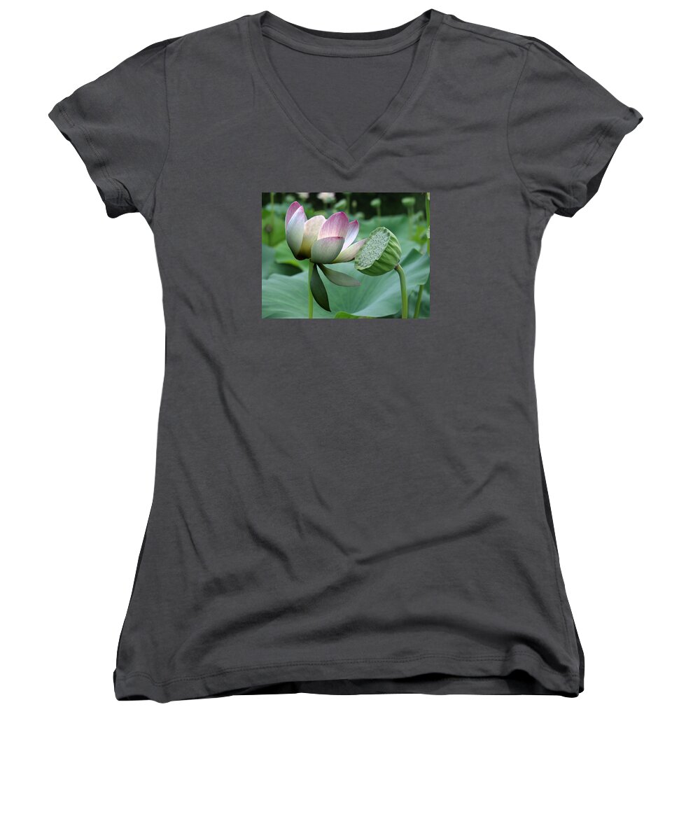 Lotus Women's V-Neck featuring the painting Before and After by Jamie Downs