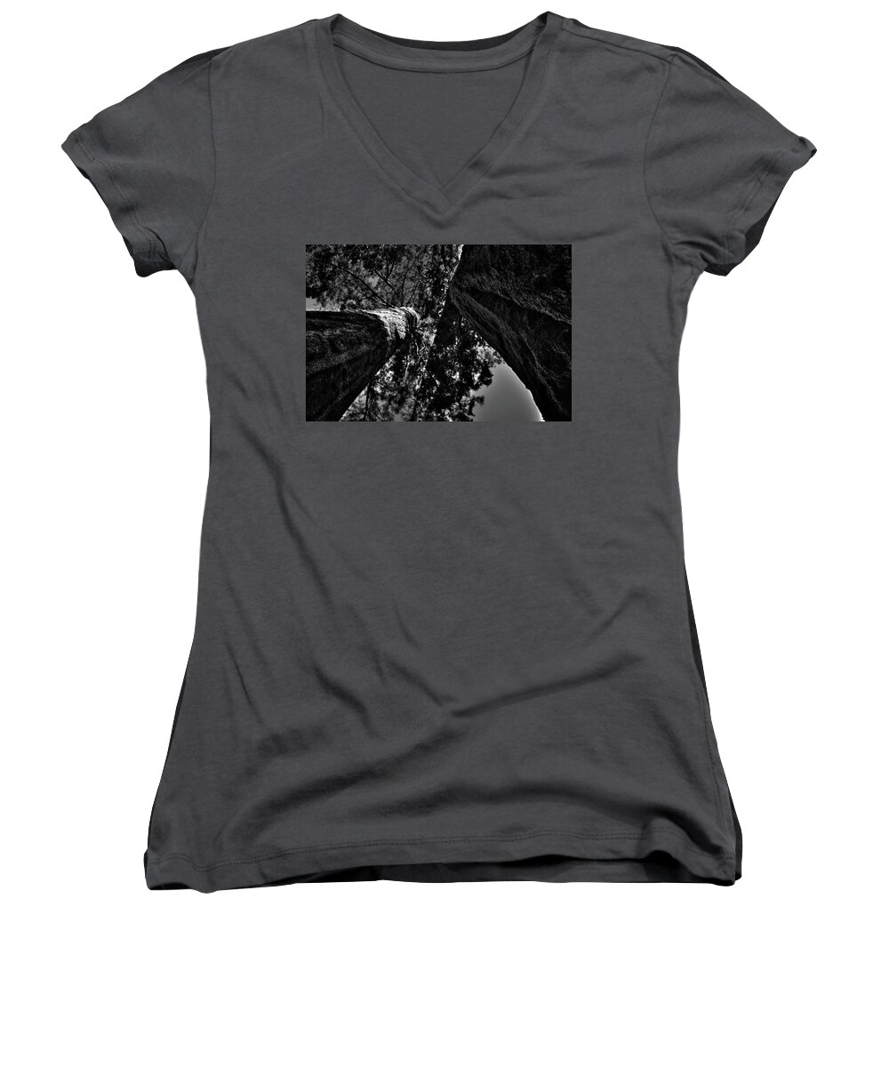 California Women's V-Neck featuring the photograph Between Two Sequoias by Roger Passman