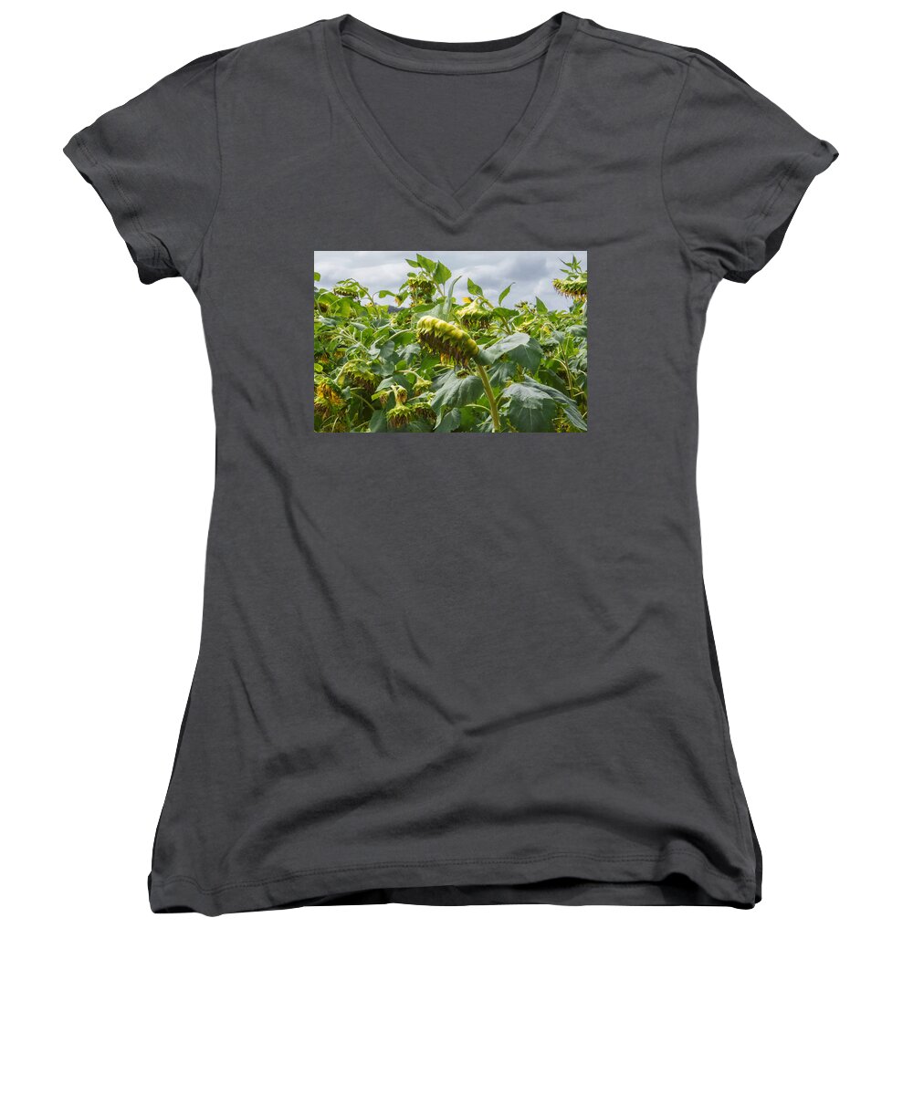 Sunflower Women's V-Neck featuring the photograph Beyond The Bloom by Arlene Carmel