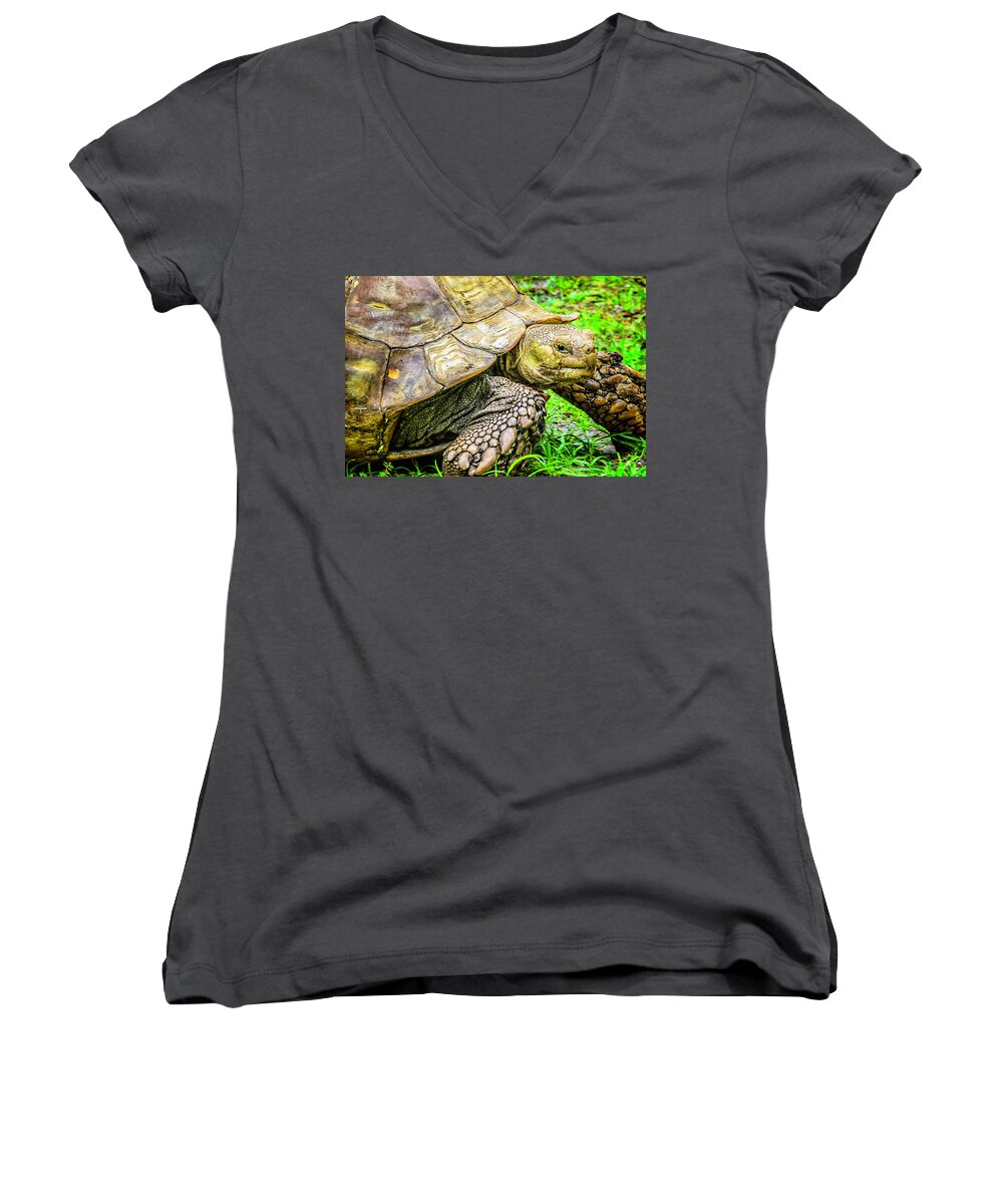 Turtle Women's V-Neck featuring the photograph Big boy by Camille Lopez