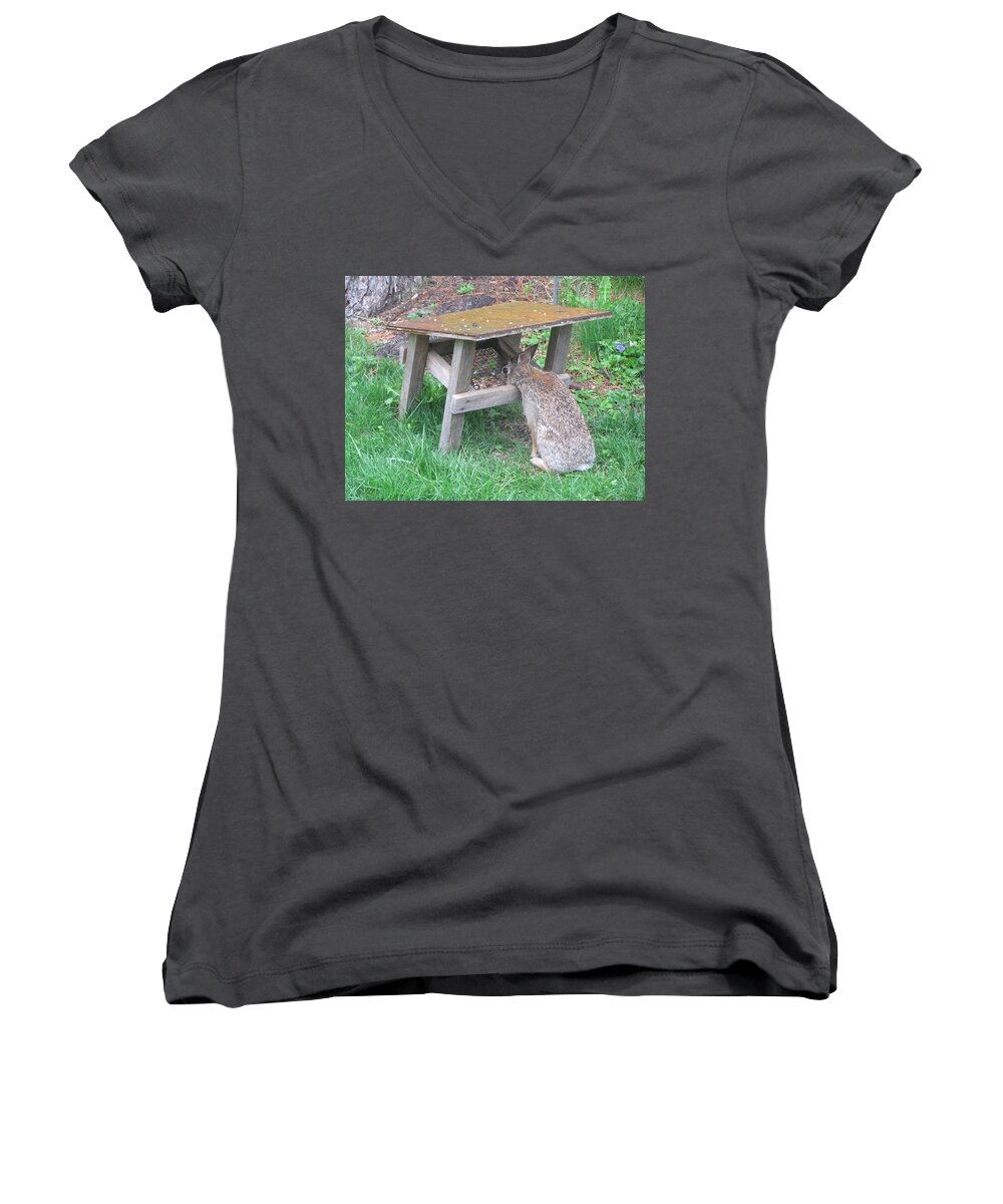 Brown Bunny Women's V-Neck featuring the photograph Big Eyed Rabbit Eating Birdseed by Betty Pieper